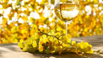 Cuáles son las increíbles propiedades nutricionales del vino