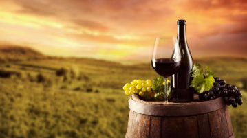 Argentina, Chile o Estados Unidos: qué país produce y exporta más vino en el continente americano