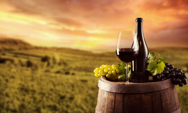 Argentina, Chile o Estados Unidos: qué país produce y exporta más vino en el continente americano